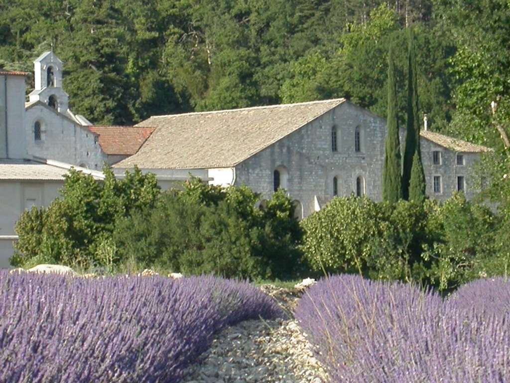 The Originals Boutique, Hotel Montelimar Fasilitas foto